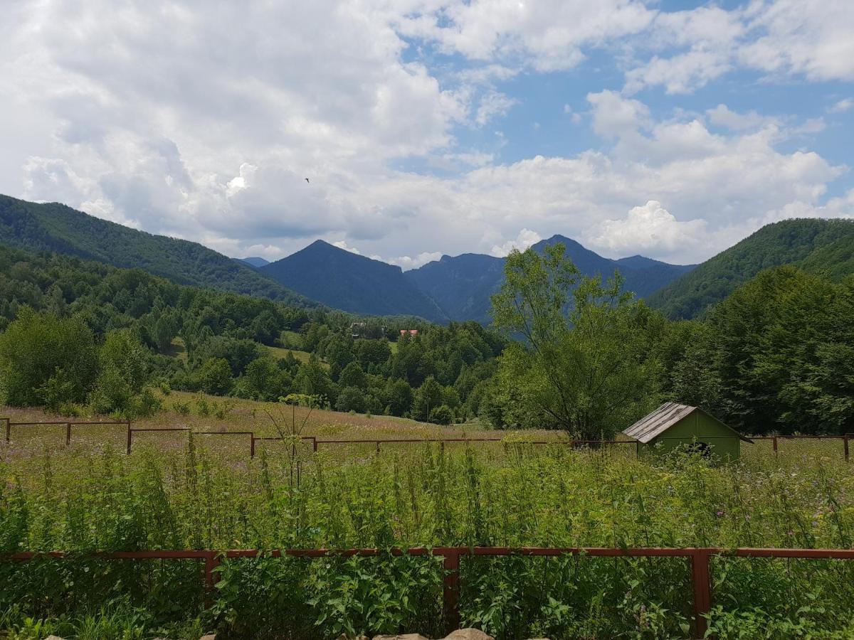 Barlogul Ursilor Lepsa Otel Dış mekan fotoğraf