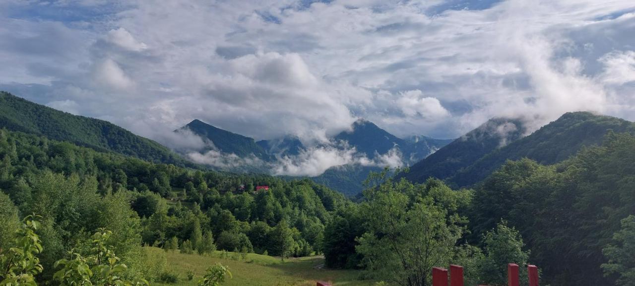 Barlogul Ursilor Lepsa Otel Dış mekan fotoğraf