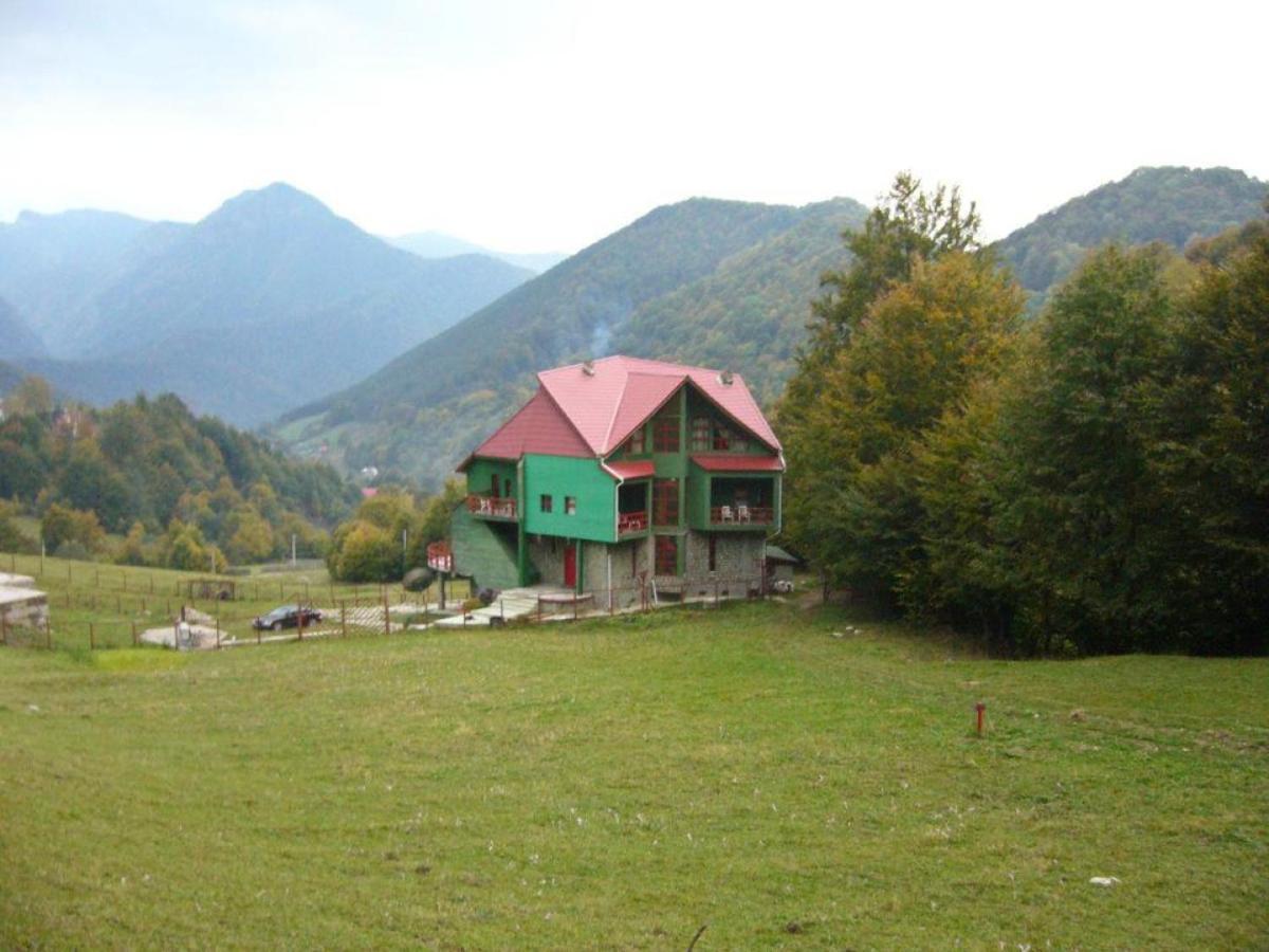 Barlogul Ursilor Lepsa Otel Dış mekan fotoğraf