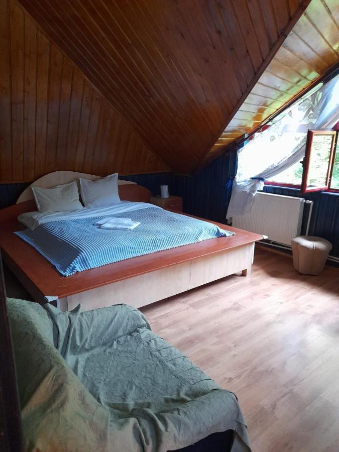 Barlogul Ursilor Lepsa Otel Dış mekan fotoğraf