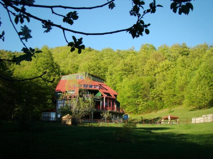 Barlogul Ursilor Lepsa Otel Dış mekan fotoğraf