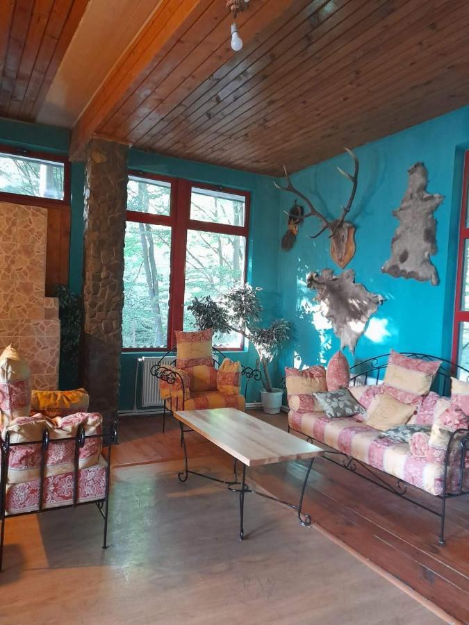 Barlogul Ursilor Lepsa Otel Dış mekan fotoğraf