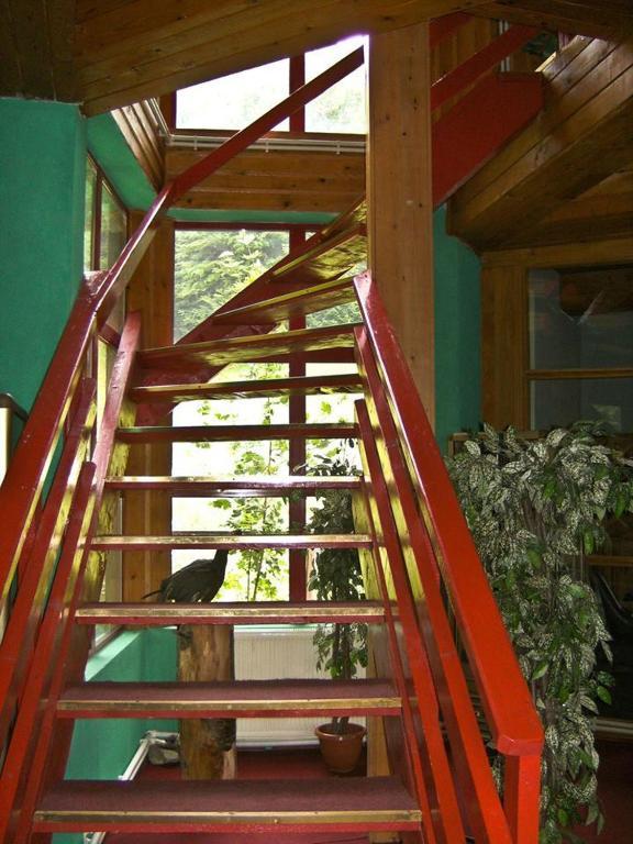 Barlogul Ursilor Lepsa Otel Dış mekan fotoğraf